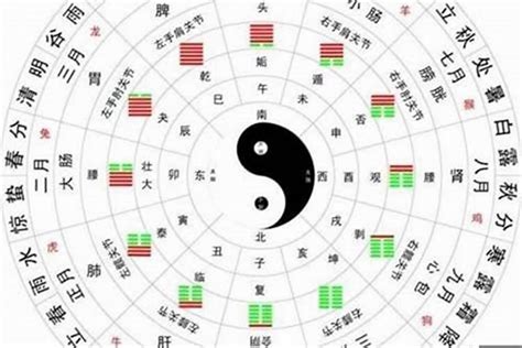 怎麼看八字屬性|八字新手教學 